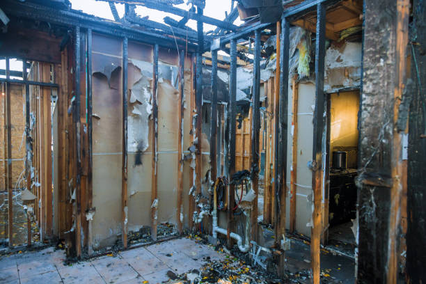 Professional Fire Damage Removal technician working in Mantua, VA