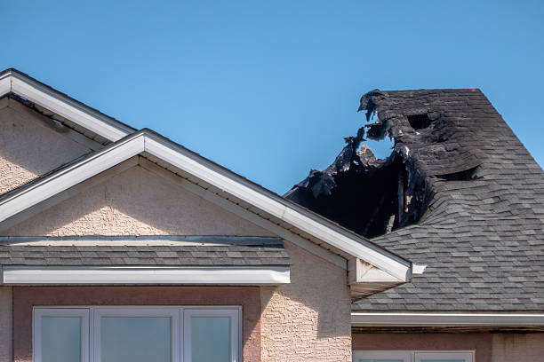 Top rated local Fire Damage Removal specialists in Mantua, VA